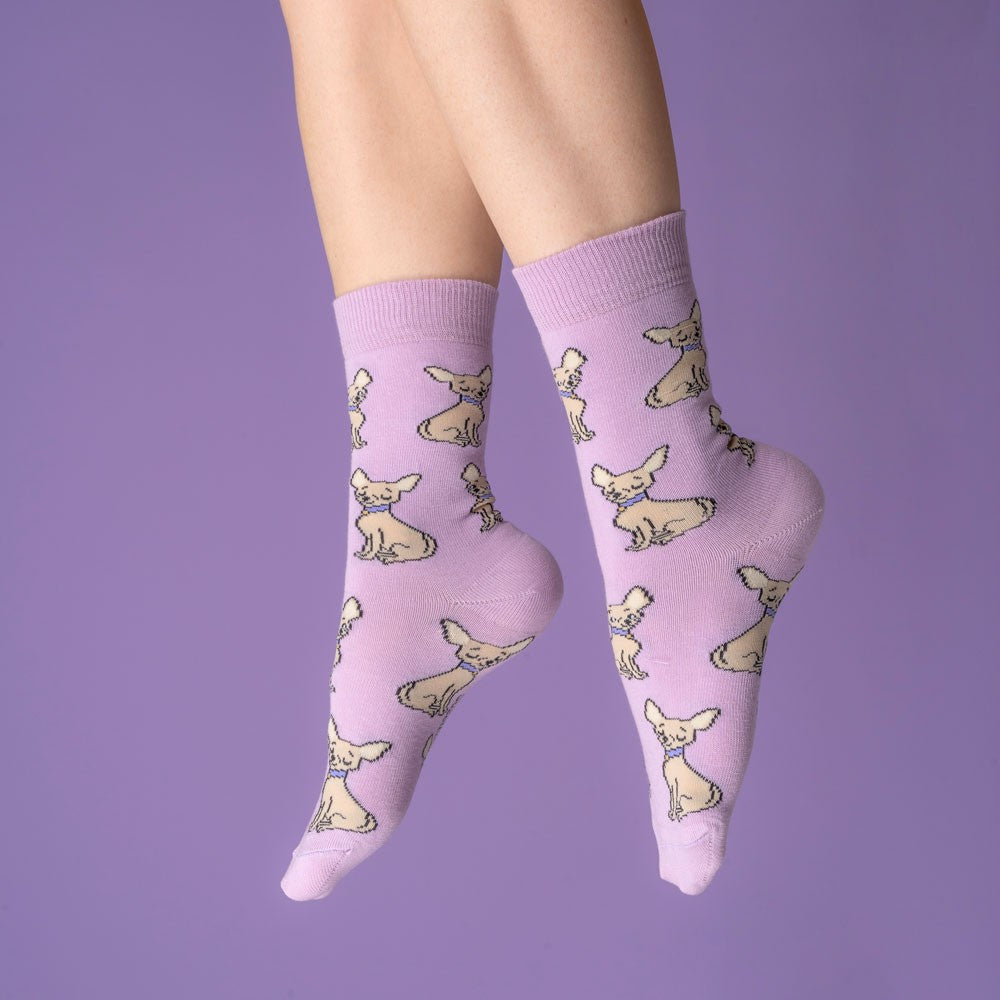 Chaussettes Chihuahua - Coucou Suzette