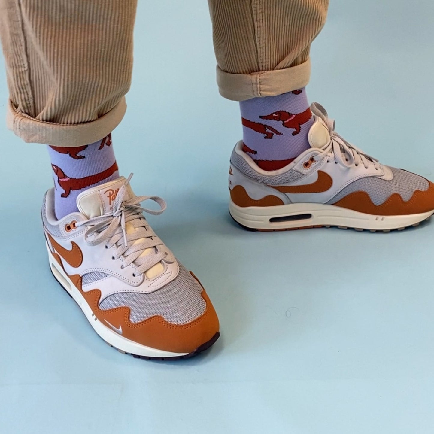Chaussettes Teckel - Coucou Suzette