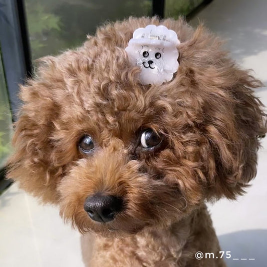 Mini pince à cheveux Bichon - Coucou Suzette
