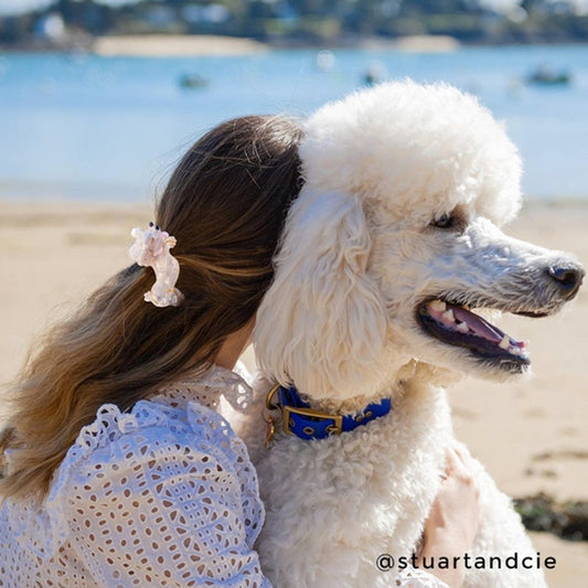 Pince à cheveux Caniche - Coucou Suzette