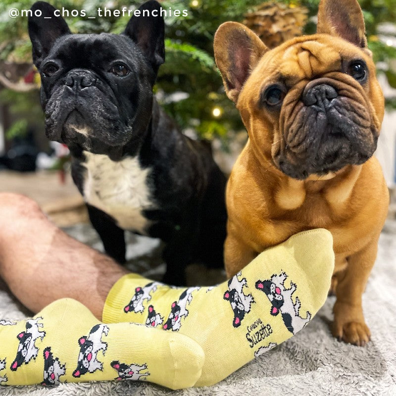 Chaussettes Bouledogue - Coucou Suzette