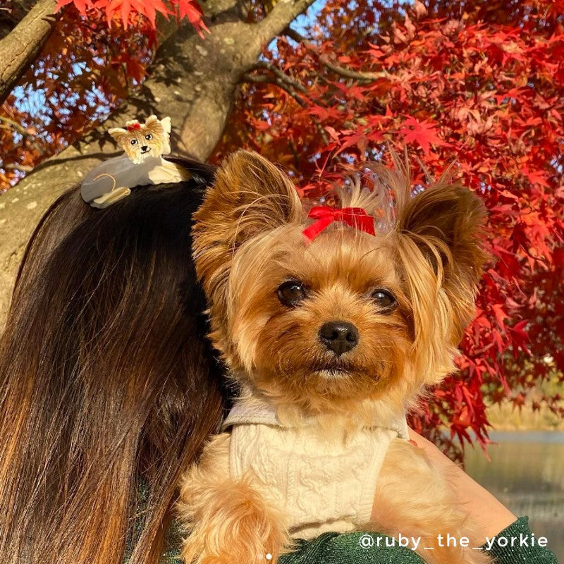 Pince à cheveux Yorkshire - Coucou Suzette