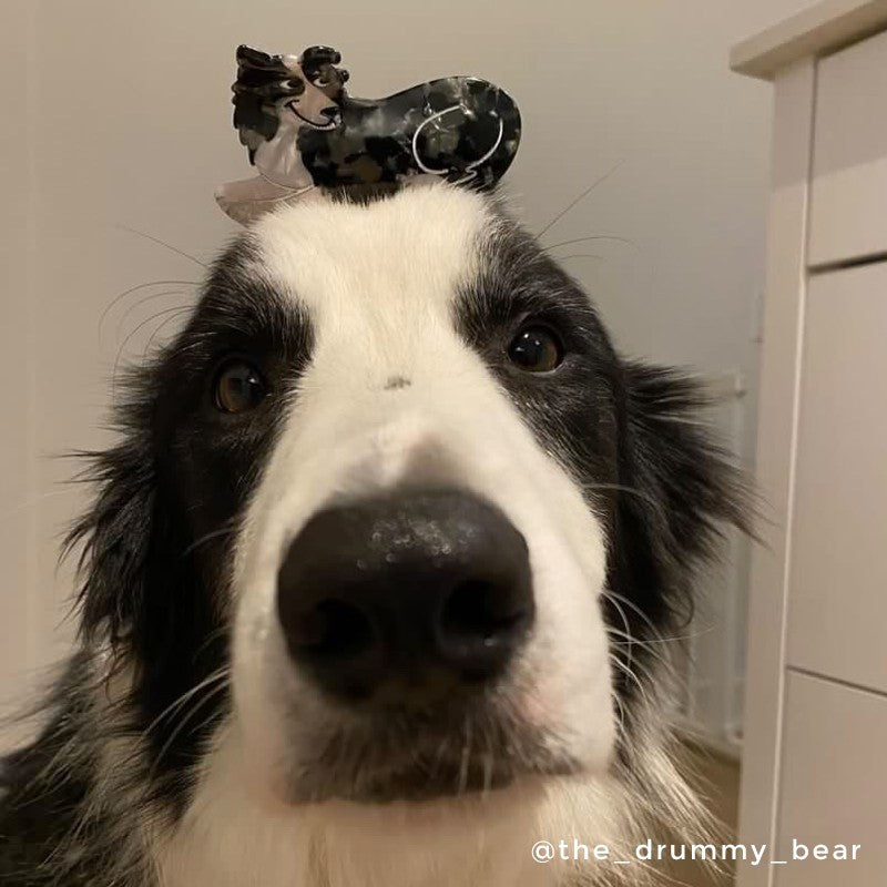 Pince à cheveux Border Collie - Coucou Suzette