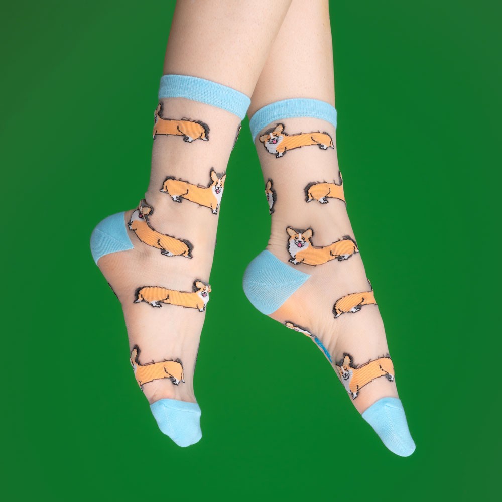 Chaussettes transparentes Corgi - Coucou Suzette