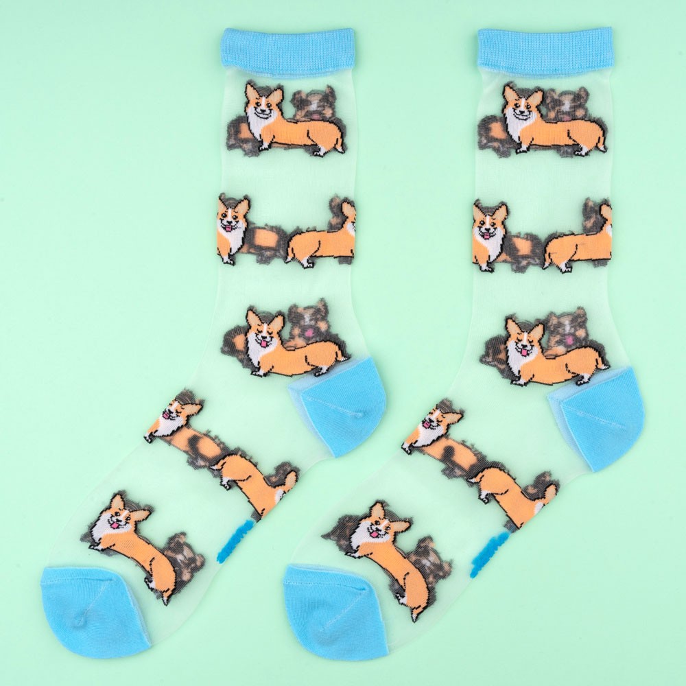 Chaussettes transparentes Corgi - Coucou Suzette