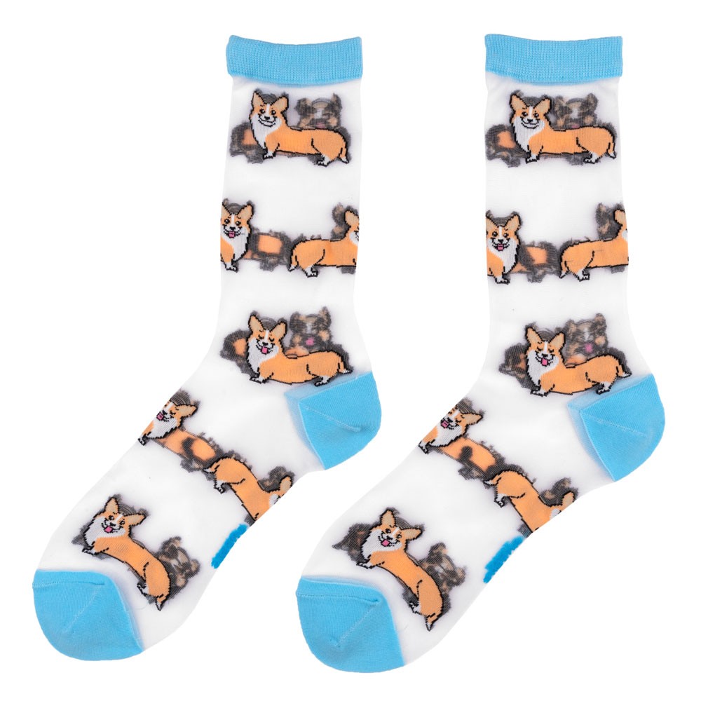 Chaussettes transparentes Corgi - Coucou Suzette