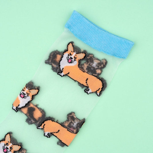 Chaussettes transparentes Corgi