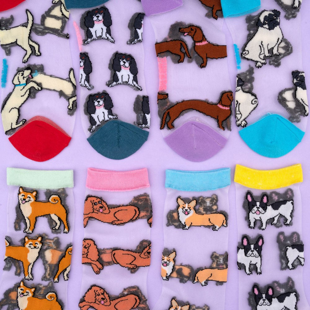 Chaussettes transparentes Corgi - Coucou Suzette