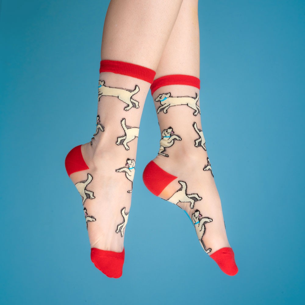 Chaussettes transparentes Labrador - Coucou Suzette