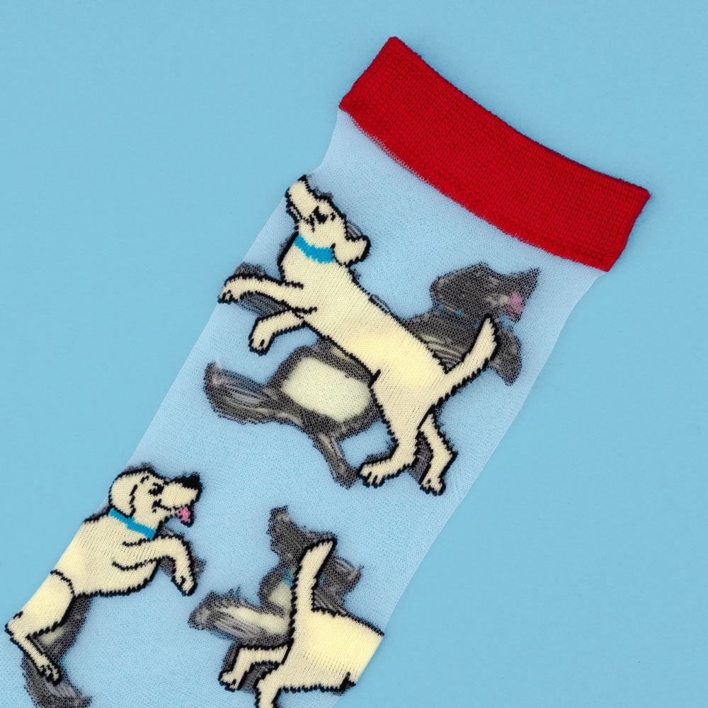 Chaussettes transparentes Labrador - Coucou Suzette