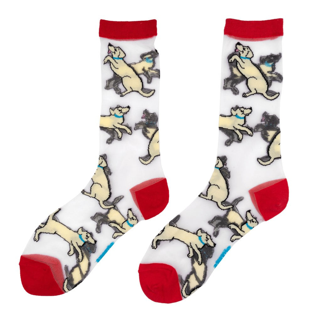 Chaussettes transparentes Labrador - Coucou Suzette