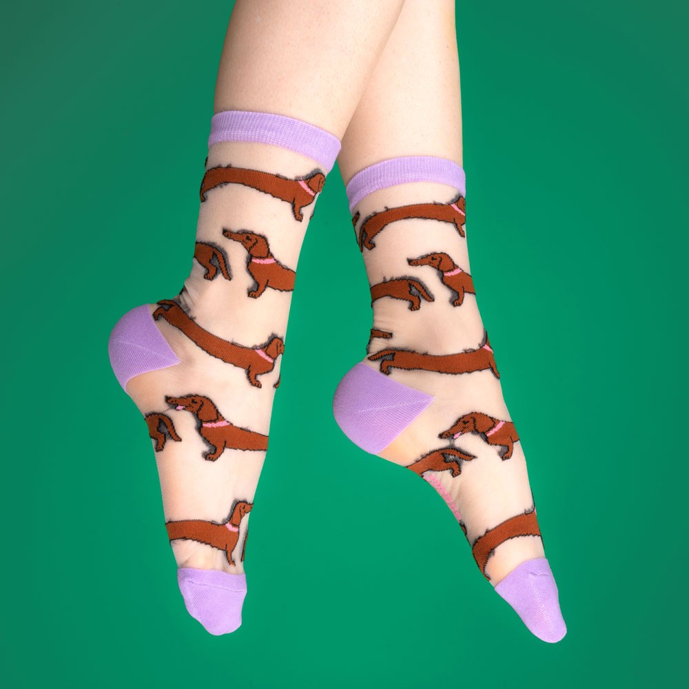 Chaussettes transparentes Teckel - Coucou Suzette