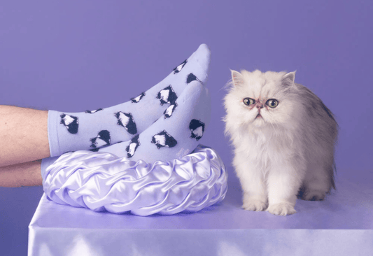 Dans les coulisses de Cat Lady