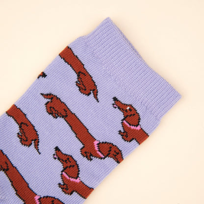 Dachshund socks - Kid