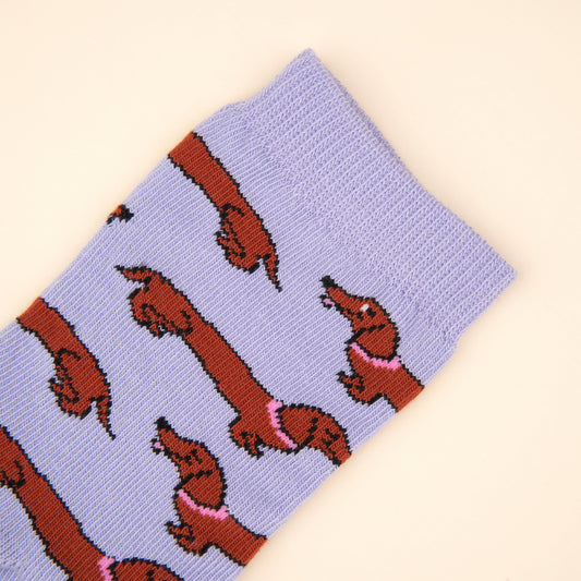Dachshund socks - Kid