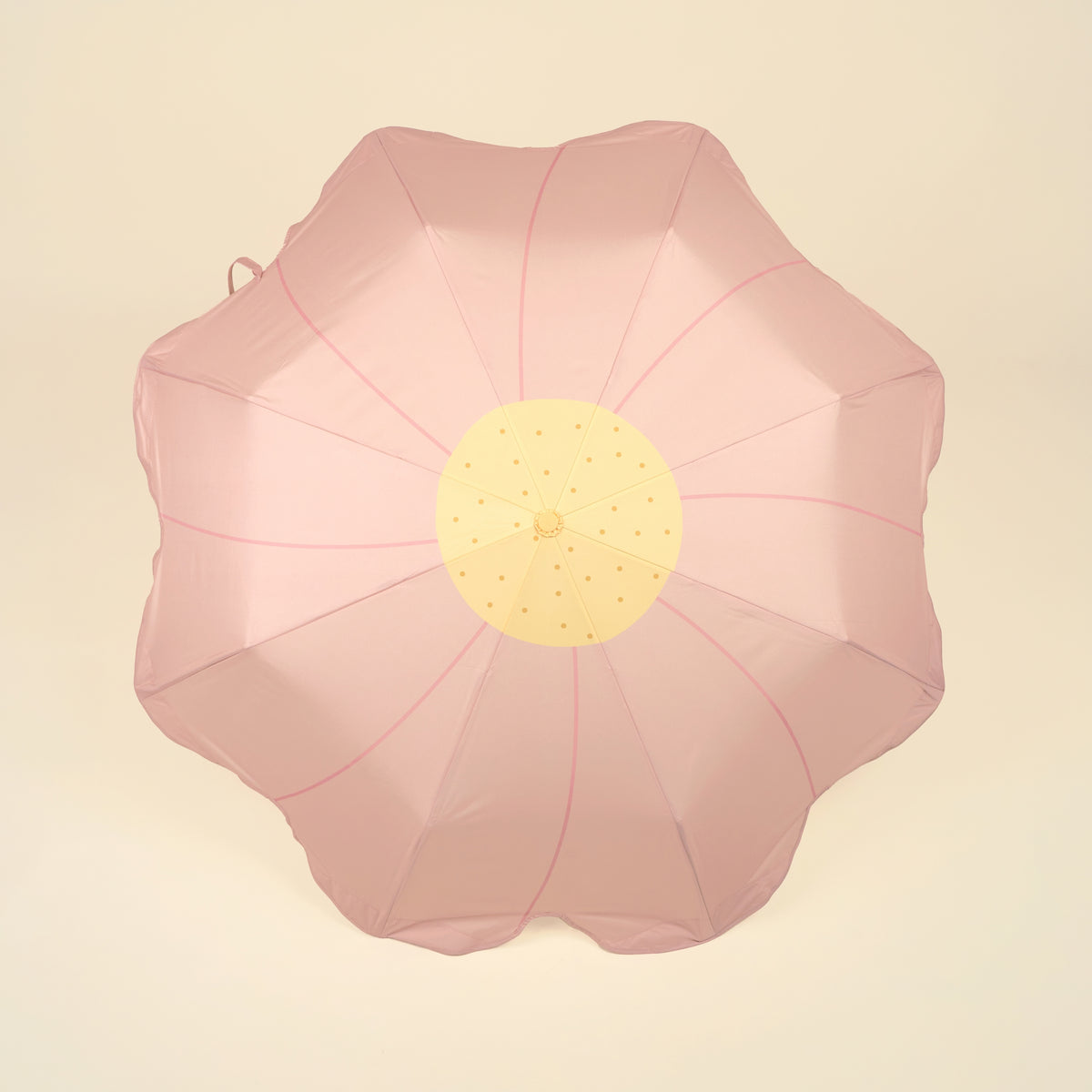 Sakura Umbrella