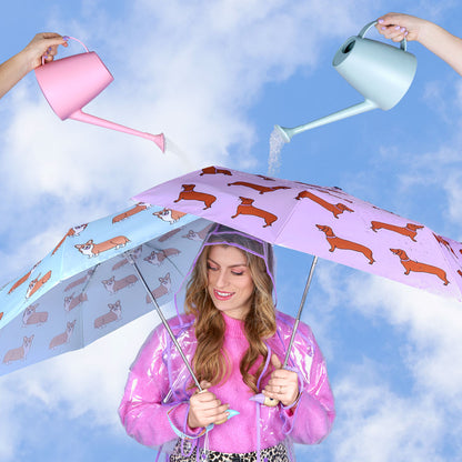 Corgi Umbrella