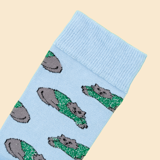 Chilly Cat Socks