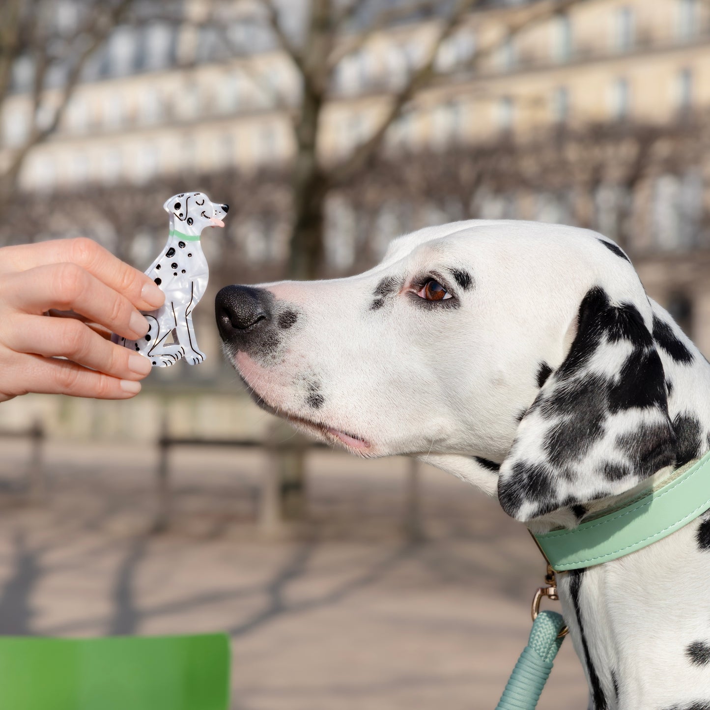 Dalmatian Hair Claw x La Bonne Brosse