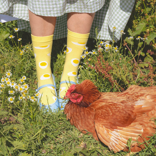 Chaussettes Oeuf