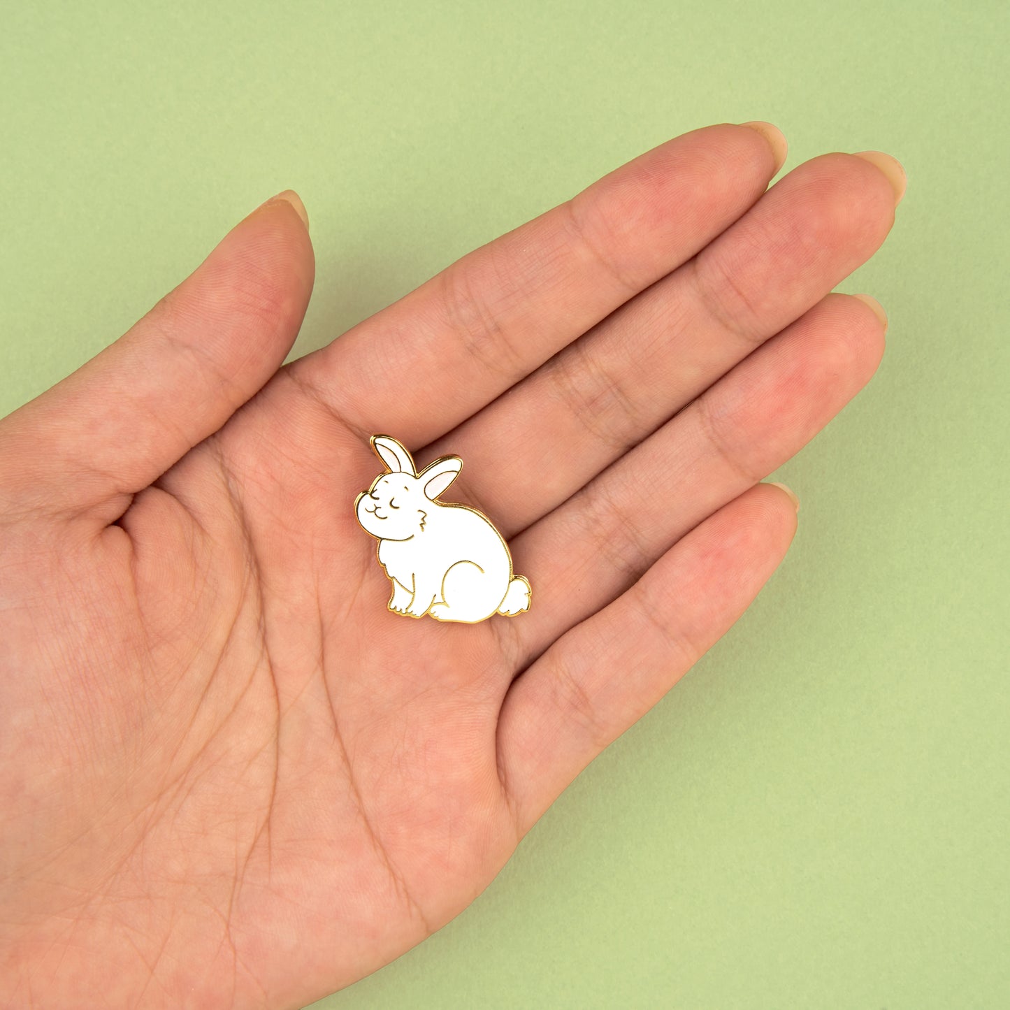 Pin's Lapin