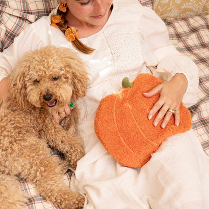 Pumpkin Hot Water Bottle