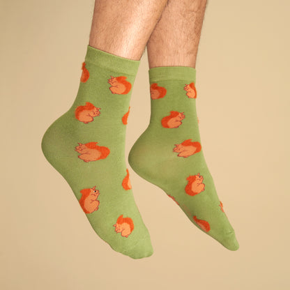 Squirrel Socks