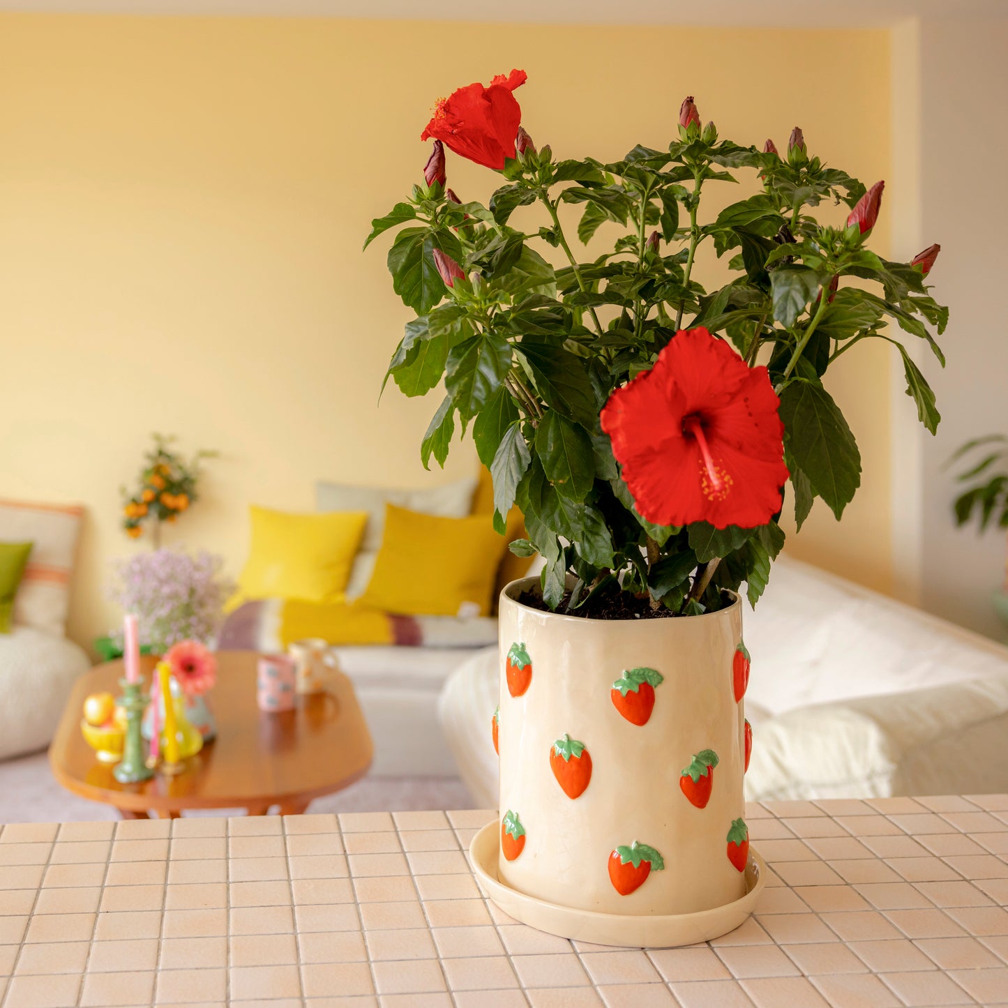 Pot de fleurs Fraise