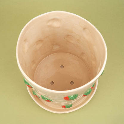 Pot de fleurs Fraise