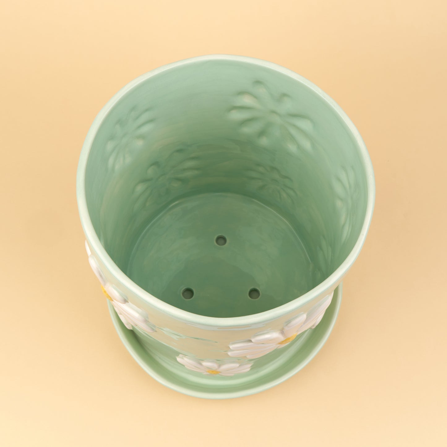 Daisy Flower Pot