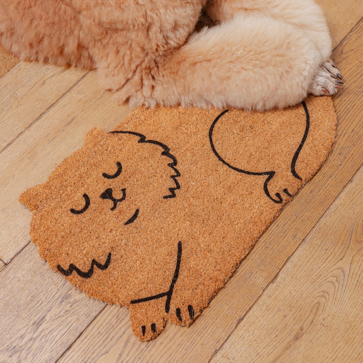 Cat Doormat