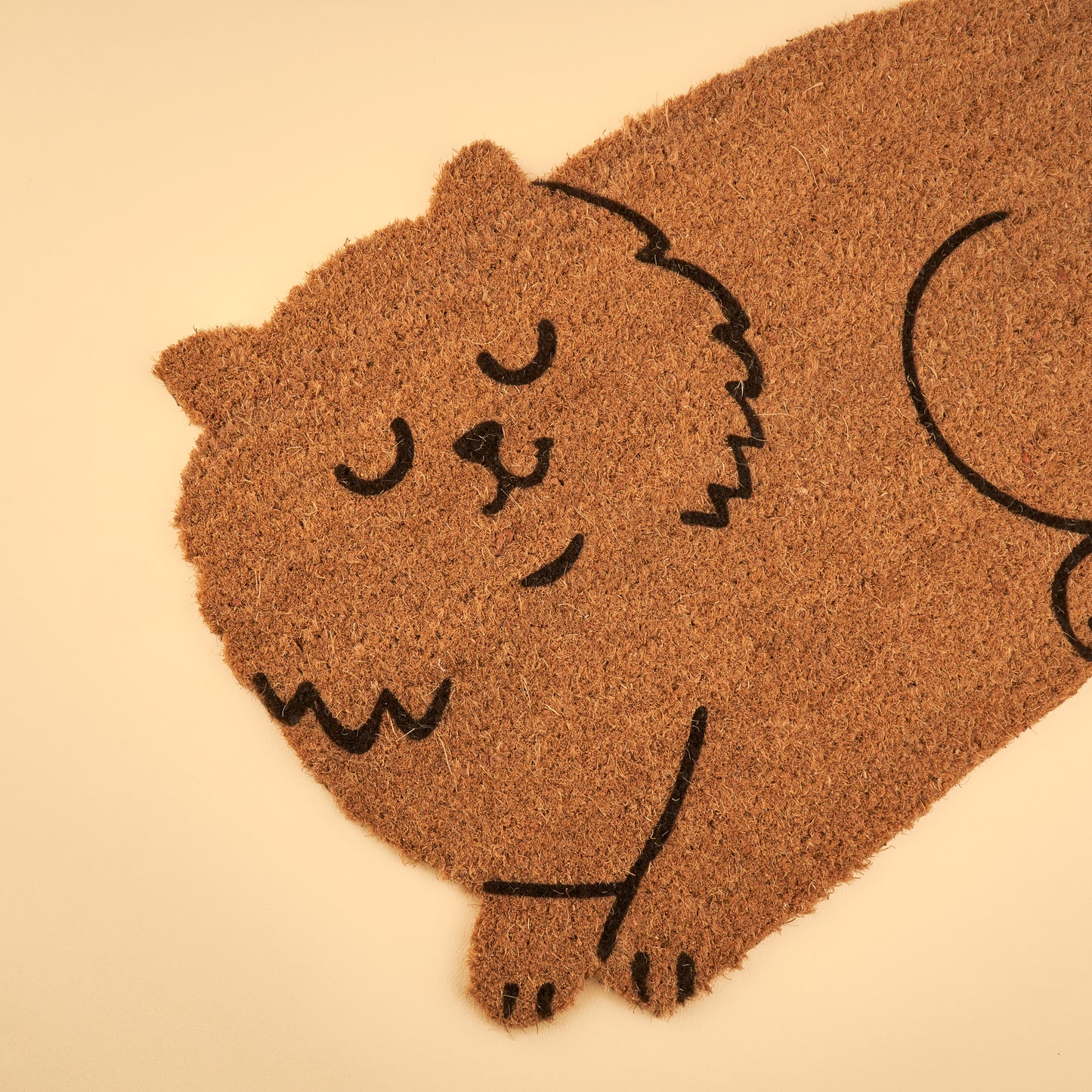 Cat Doormat