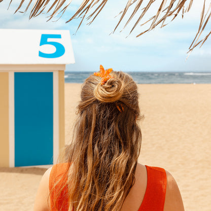 Pic à cheveux Étoile de Mer