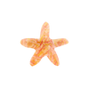 Hair clips