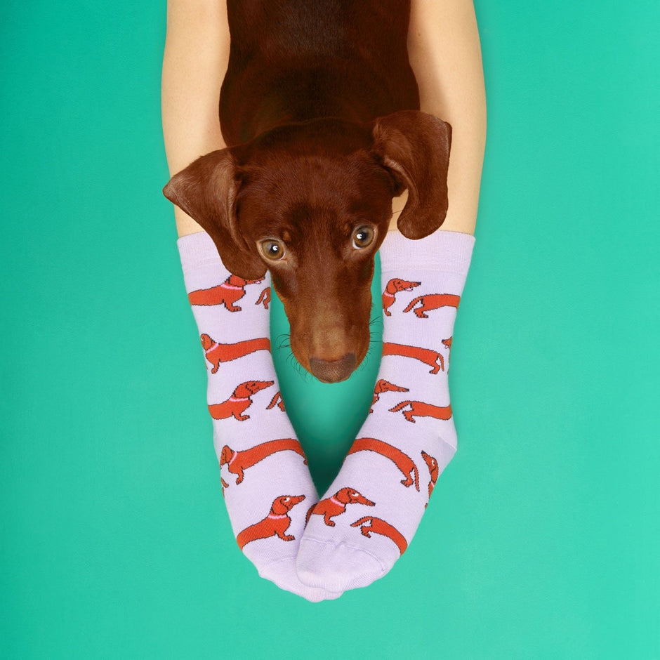 Chaussettes 