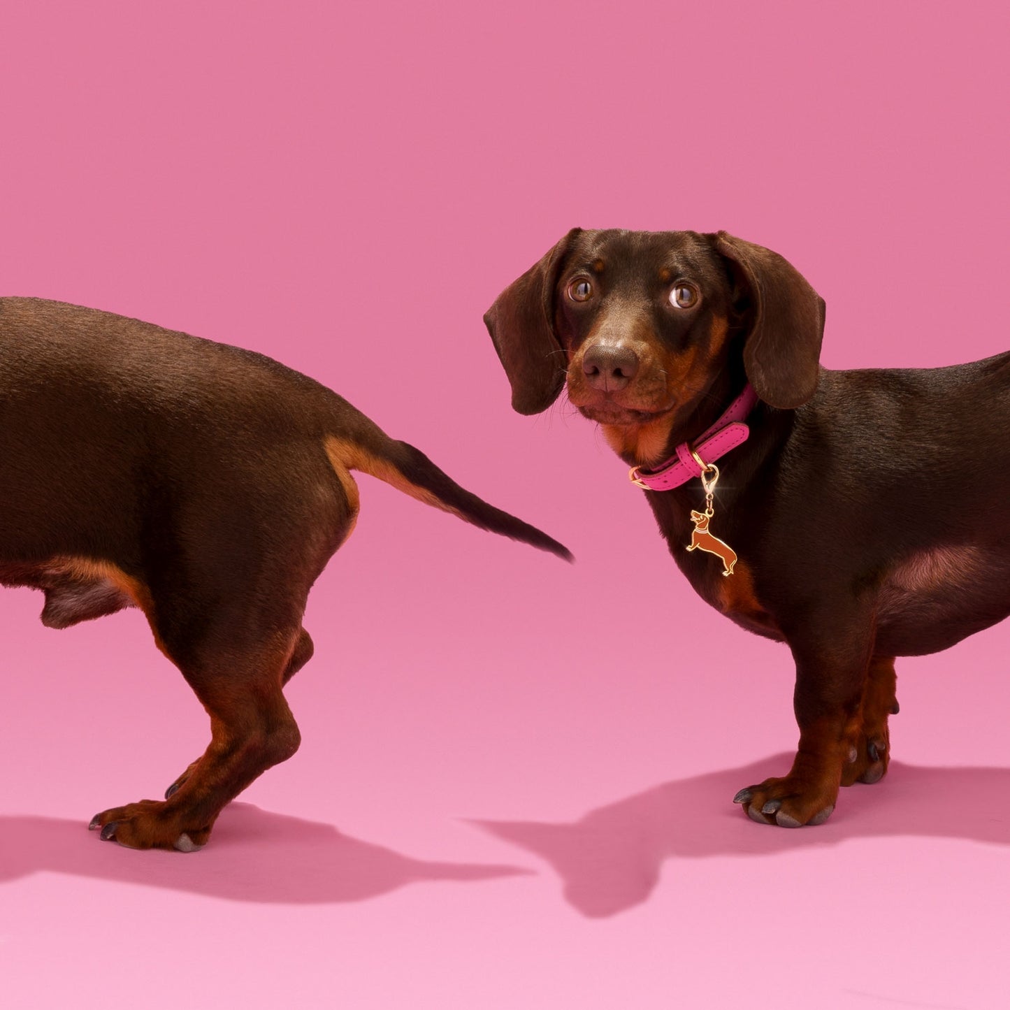 Nouveau style Mini teckel chien charm porte-clés mignon pu cuir chiot porte- clés pendentif