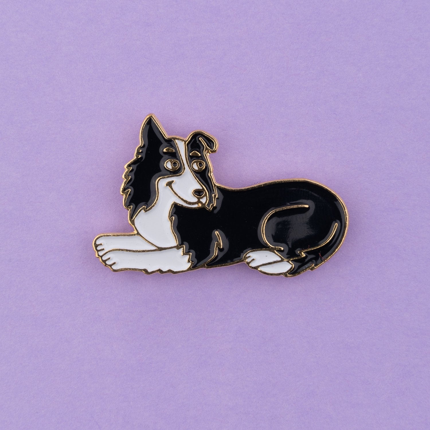 Border 2024 collie pin