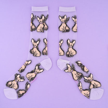 Chihuahua Sheer Socks