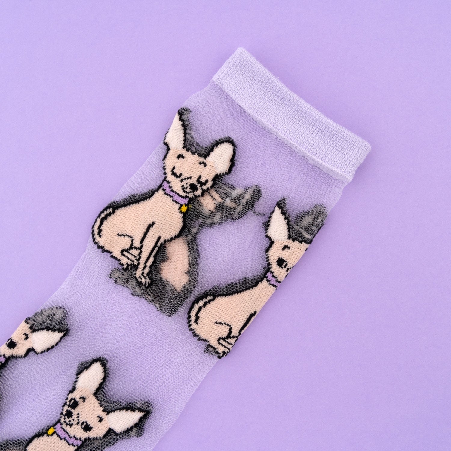 Chaussettes transparentes Chihuahua - Coucou Suzette