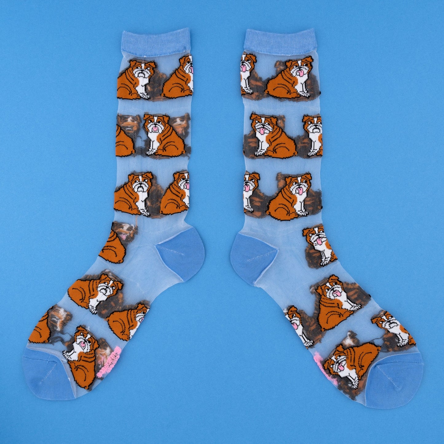 Chaussettes transparentes Bouledogue Anglais