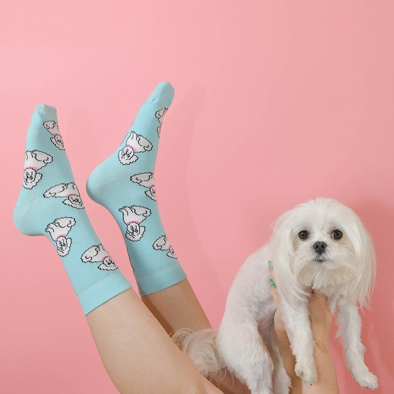 Bichon Socks