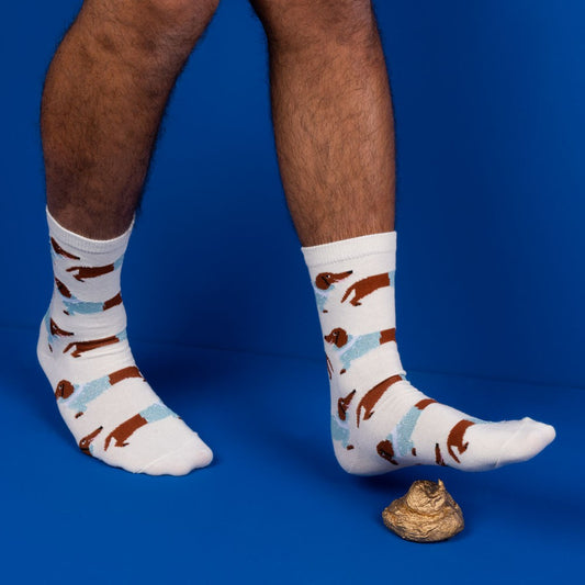 Chaussettes Teckel Frileux