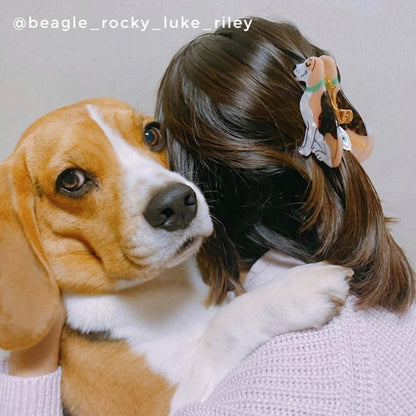 Pince à cheveux Beagle - Coucou Suzette