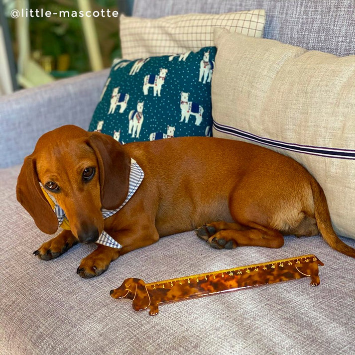 Original Dachshund shaped Ruler – Coucou Suzette