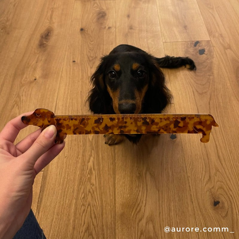 Original Dachshund shaped Ruler – Coucou Suzette