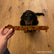Original Dachshund shaped Ruler – Coucou Suzette