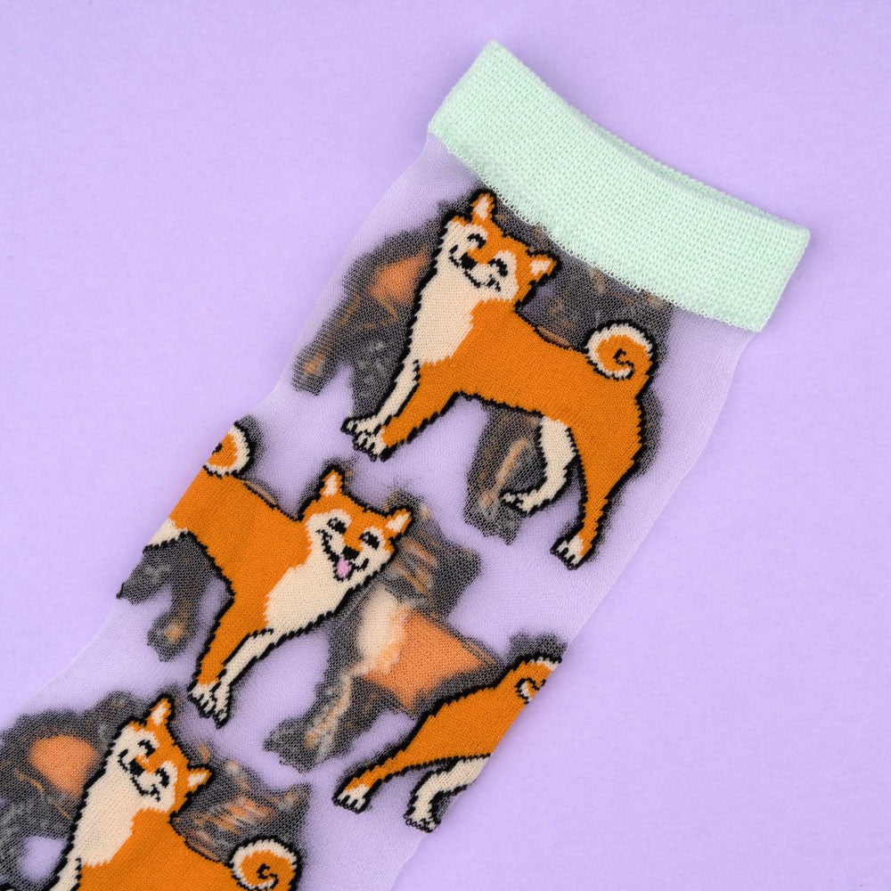 Chaussettes transparentes Shiba